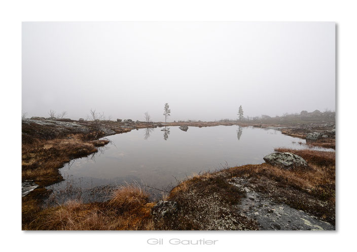 Brume et brouillard ( Temp 2° C ) 