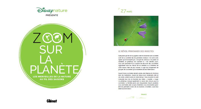 disney nature zoom sur la planete