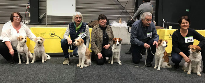 Gruppenfoto: Kabou vom rauhen Stein, Cataleya vom langen Fuchsbau, Kromipaws Fast as a Shark, Hoolahop's Cosmopolitan (BOB), Chivola von der Schwanenwiese & Delilah aus dem Craichgau (BOS)