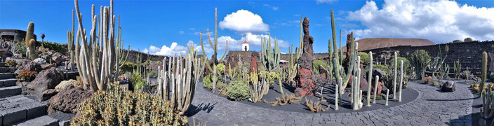 Jardin de Cactus, Lanzarote
