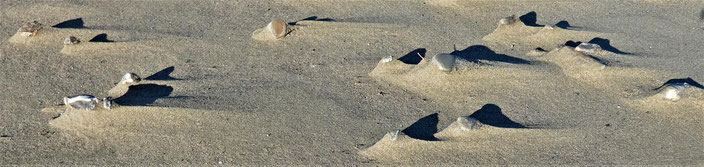 Kiesel stabilisieren den Sand und der Wind schafft Wüstenlandschaften.
