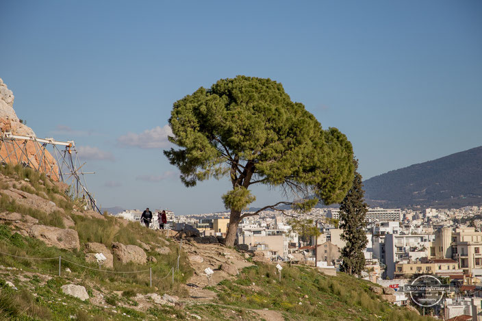Sightseeing - Akropolis, Athen