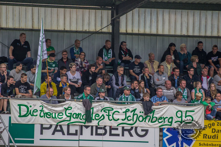 FC Schönberg 95 - Palmberg-Stadion