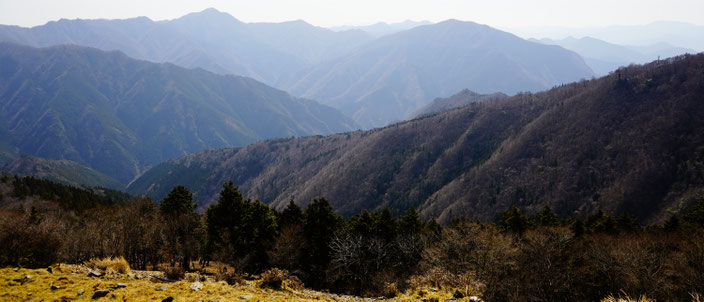 徳島のへそから