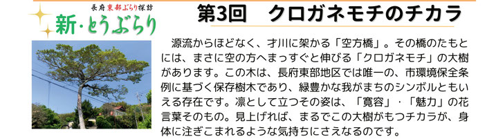 2024年7月