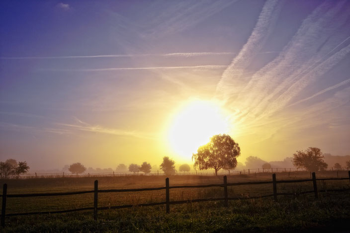 Sonnenaufgang bei Neubeeren, Brandenburg, Feld