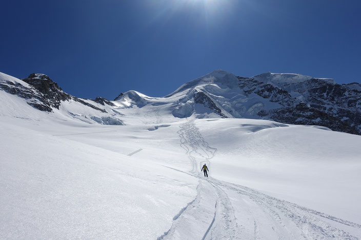 Skitour, Skihochtour, Piz Palü, Engadin, Spalten, Bernina, Schweiz, Diavolezza, ÖV, ÖV-Skitour