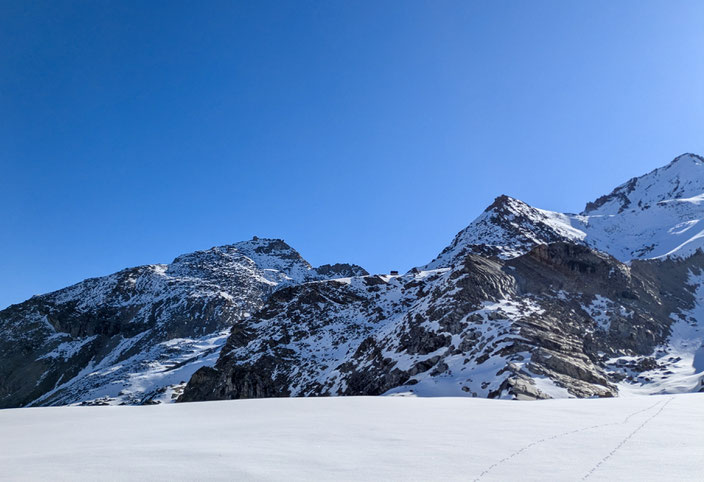 Skitour, Skihochtour, Wallis, Nadelgrat, Ulrichshorn, Tagestour, Gasenried