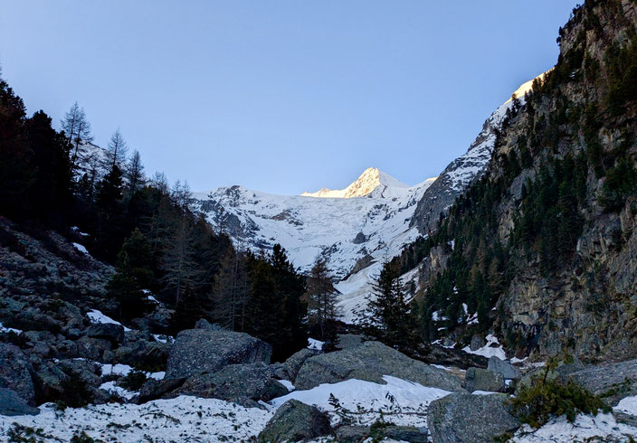 Skitour, Skihochtour, Wallis, Nadelgrat, Ulrichshorn, Tagestour, Gasenried