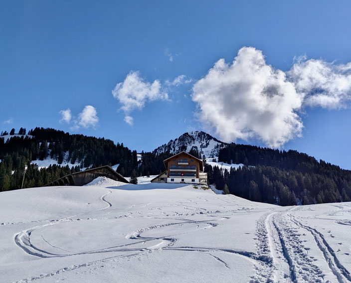 Skitour, Roggenstock, kurze Skitour, ÖV, Oberiberg, Zentralschweiz, leichte Skitour
