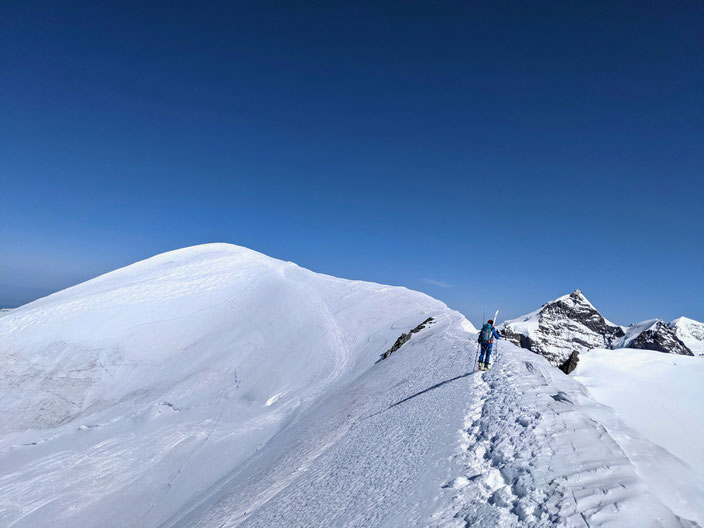 Louwihorn, Louwitor, Hollandiahütte, Lötschenlücke, Lötschental, Skitour, Skihochtour, Jungfraujoch, Jungfraugebiet, Berner Oberland, BEO äbeni flue, äbni Flue, äbni Fluh, Mittaghorn, Anengletscher, Anungletscher, Aletschfirn, Kranzbergfirn