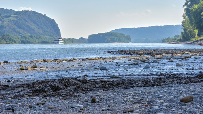 SUPTour oberer Mittelrhein mit Loreley