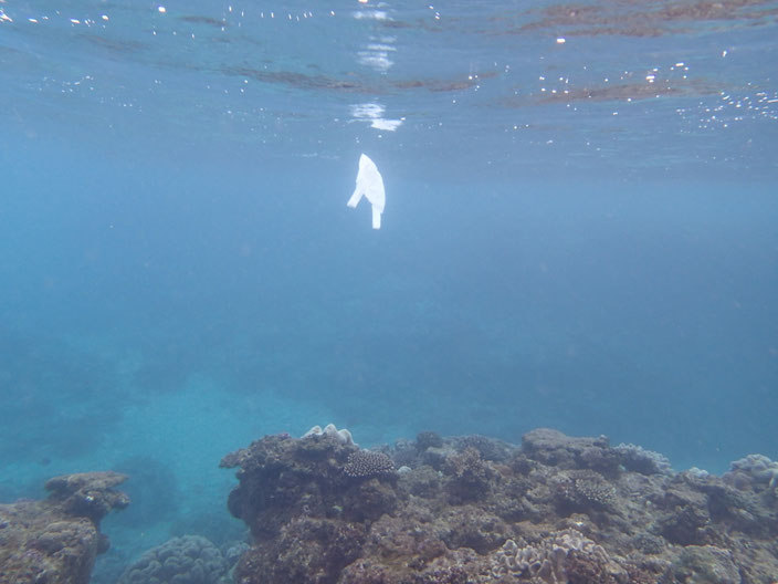 海を漂うレジ袋