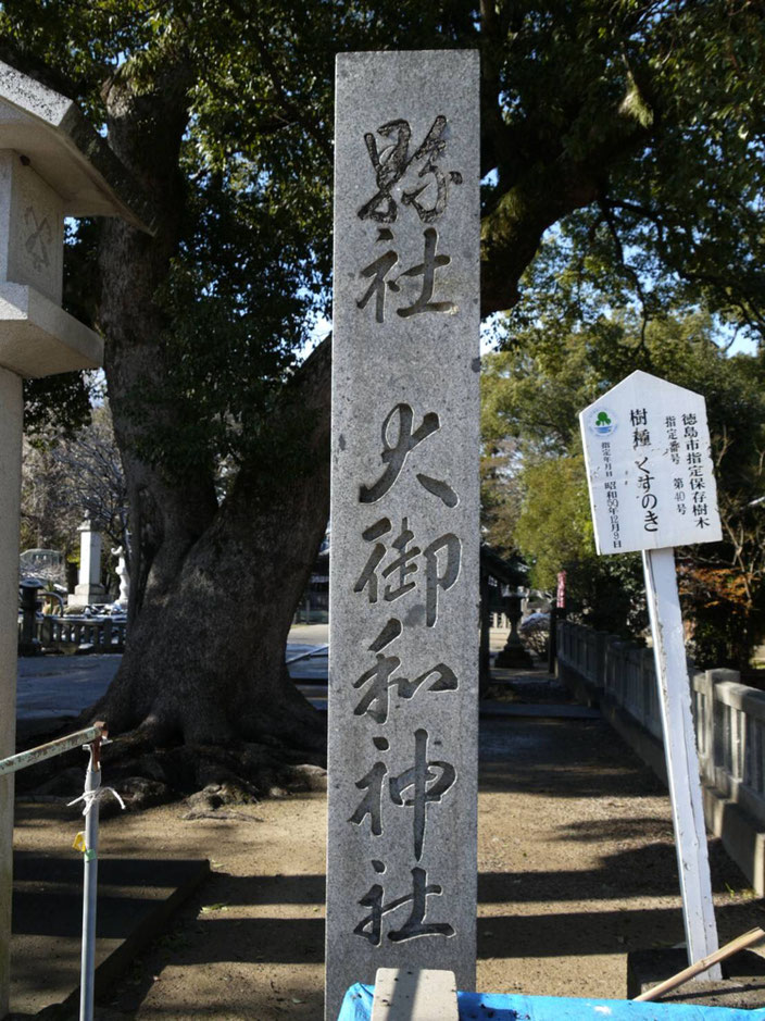大樹 徳島市の指定保存樹木40号