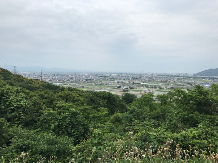 史跡の宝庫・気延山から見る国府町と大御和神社 府中の宮は街の鎮守の森