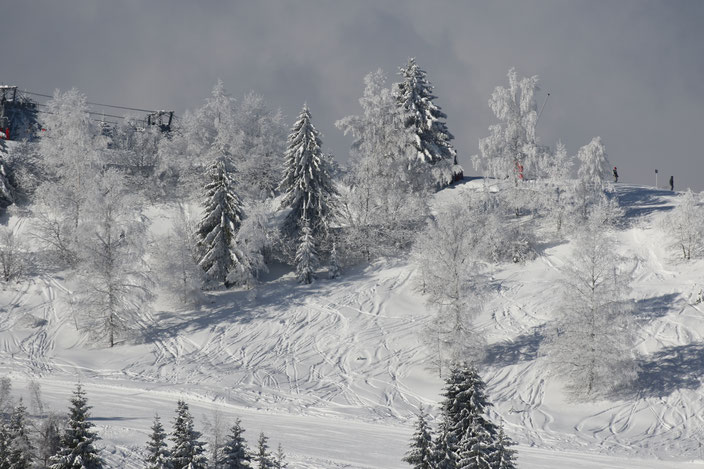 Hors piste
