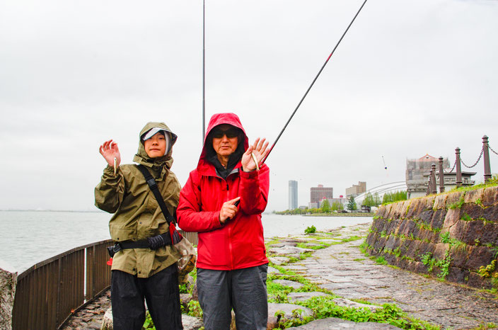 琵琶湖の南湖でホンモロコが釣れ出しました