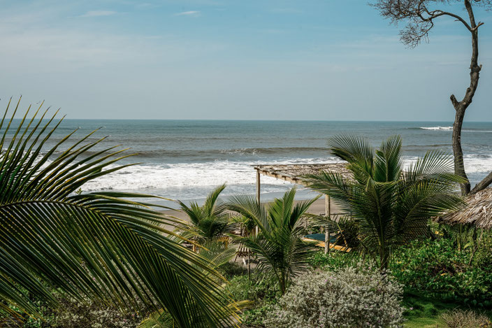 NAIA Miravalle