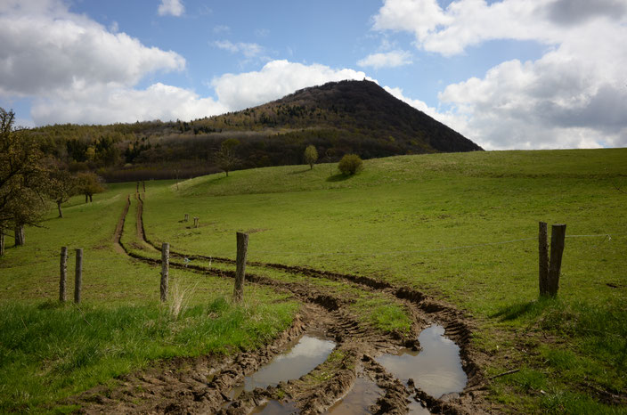 Blick über die Wiesen bei Tschenschitz (Cerncice) zum Milleschauer
