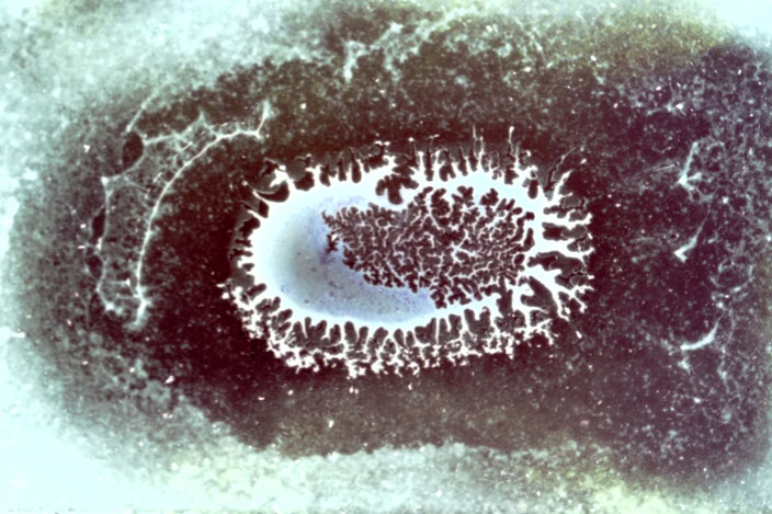 o.T., Fotoprint hinter Acrylglas, 1974/2012, 80,0 cm x 120,0 cm
