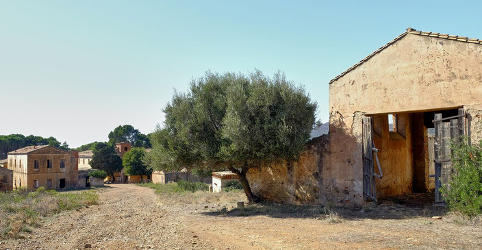 fantasmi_sardegna_villaggio_abbandonato_san_giorgio_villaggio_asproni_fotosodini