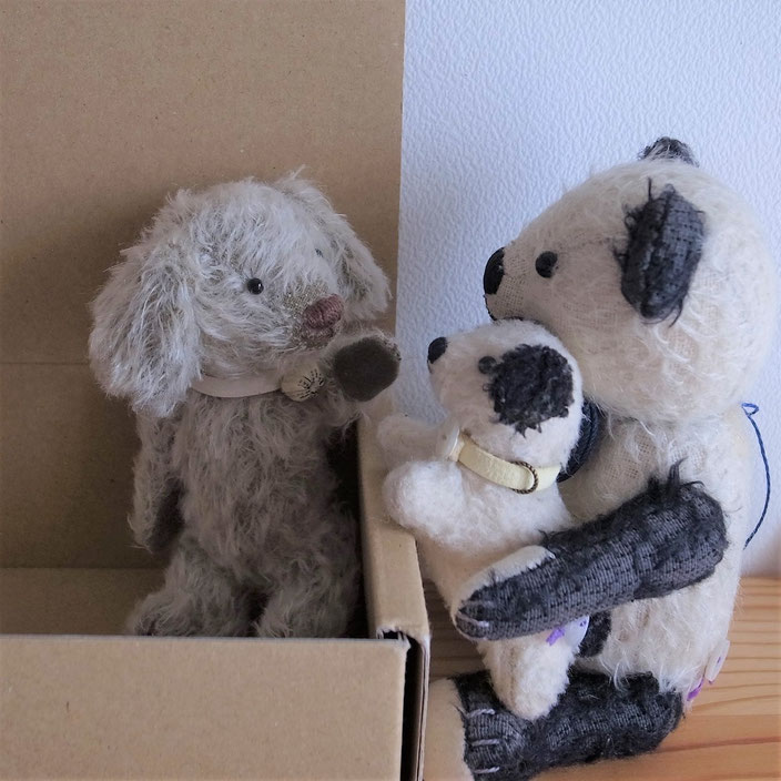 Fairy Saddle teddybear