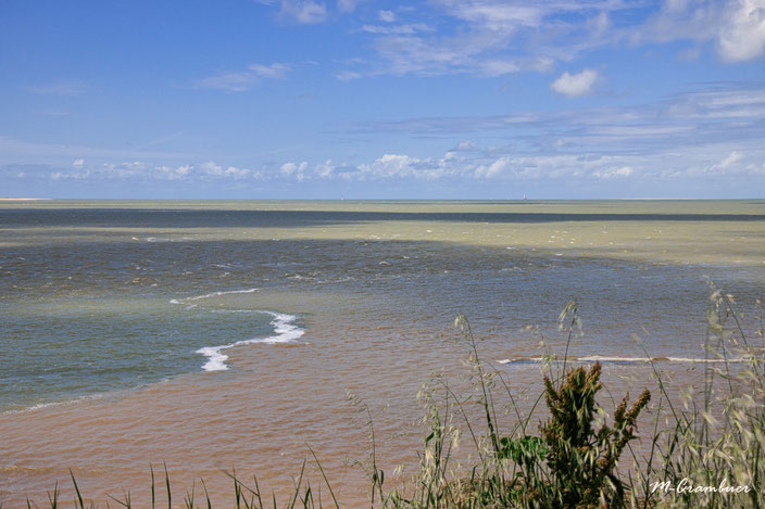 24-5-Naturelles 1- courants