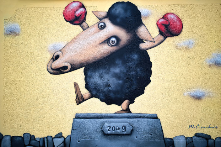 25-7- La rue 5- Boxing 