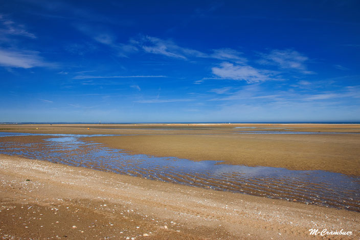 26-7-Naturelles 3- paisible
