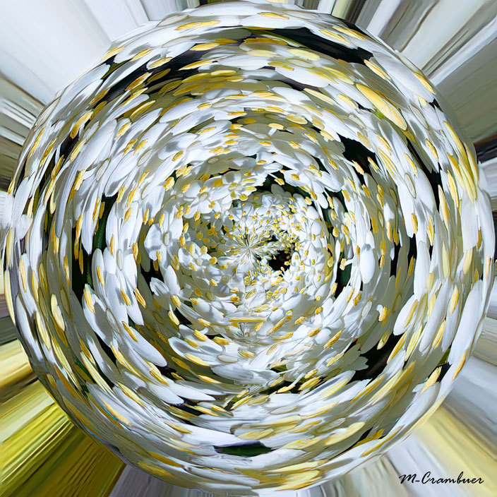 25-5-Bulle 1-Blanche