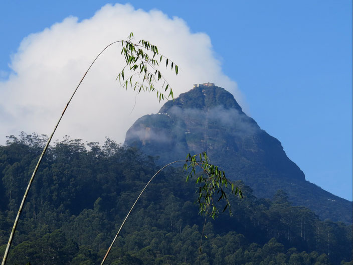 Adams Peak Sri Lanka