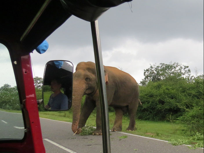 grenzenlosunterwegs Sri Lanka