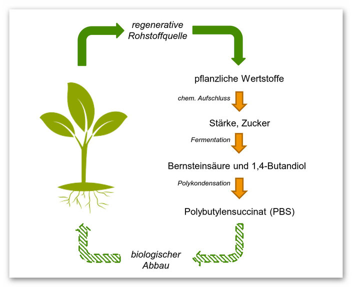 Bio-PBS als Teil natürlicher Kreisläufe.  Grafik: Fraunhofer IMWS/ P. Hirsch