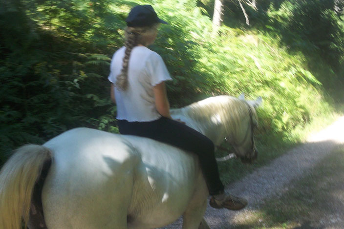 *Unterwegs mit Vollblutaraberstute Kar Ortiga (Kar Testador x WN Oromana), 2013