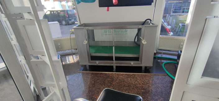 Unterwasserlaufband der Tierphysiotherapeutin