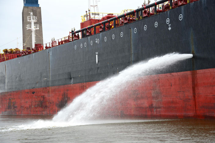 Mit dem Ballastwasser reisen viele Meerestiere von einem Ozean zum nächsten. 