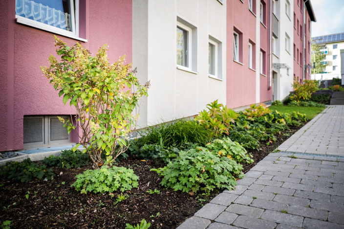 Haus mit Gehweg und Pflanzen