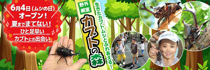 野外網室「カブトの森」6月４日オープン！