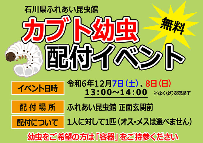 カブト幼虫配布イベント開催！
