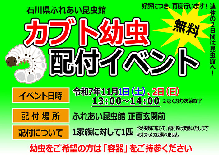 カブト幼虫配布イベント開催！