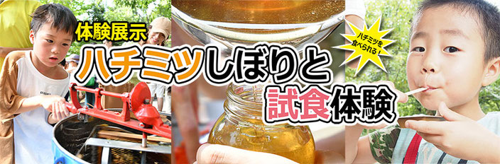 体験展示「ハチミツしぼりと試食体験」