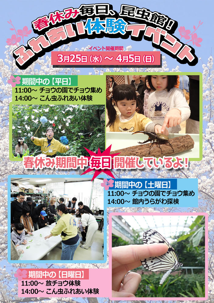 春休み期間中、ふれあい体験イベント毎日開催！