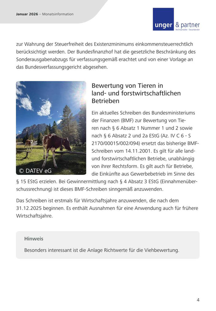 Mandanteninformationen Januar 2026 - Seite 4