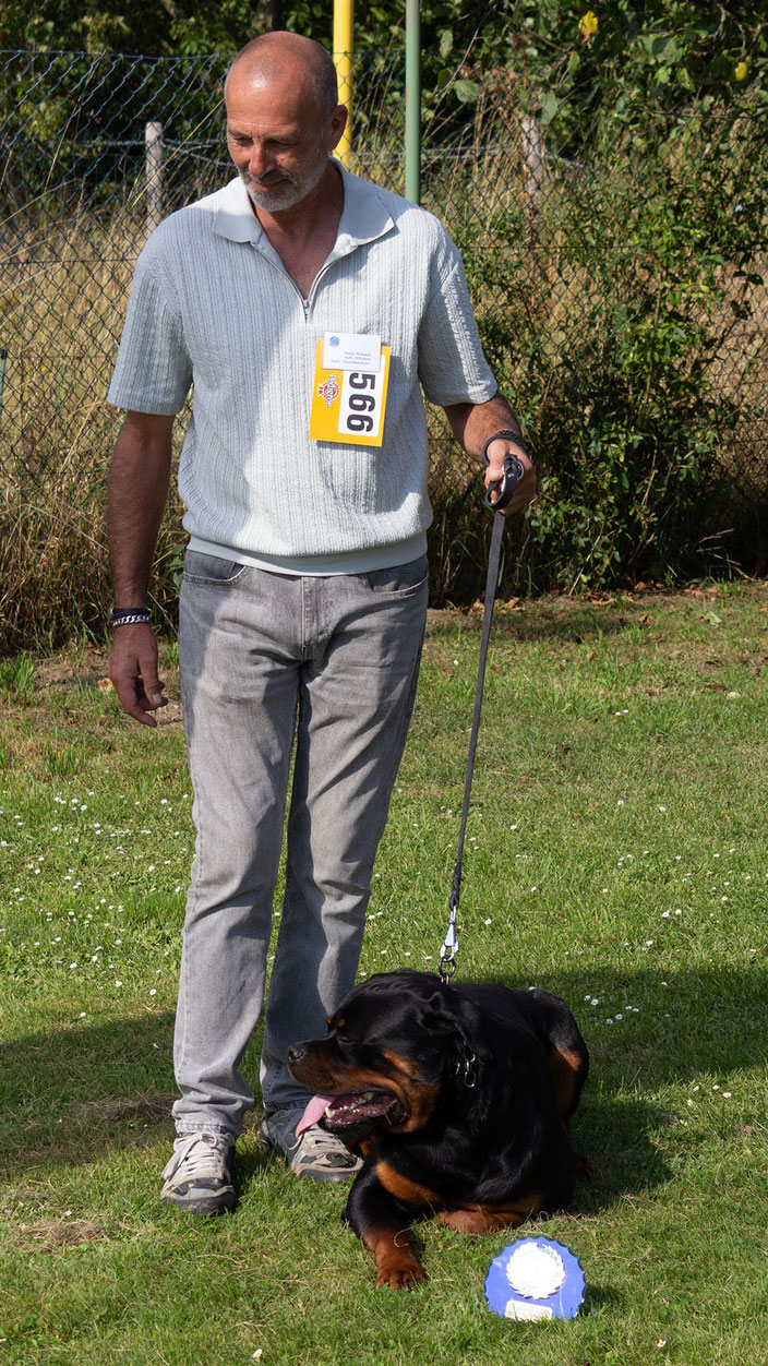 Hefrings Pride Who's the Boss   Rasse: Rottweiler  Besitzer: Danny Wittouk, Klimmen