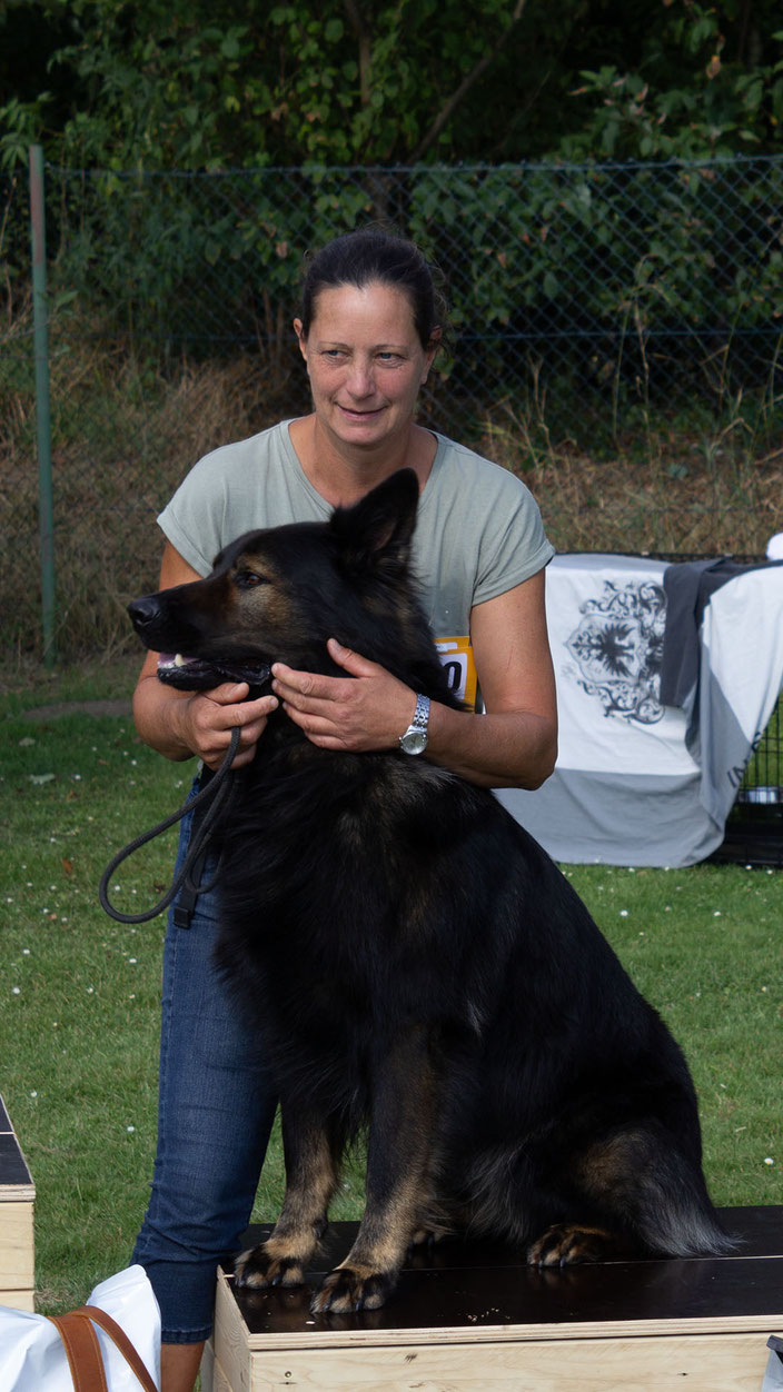 Ufarix van Serburus   Rasse: Deutscher Schäferhund   Besitzer: Ann De Prez, Evergem