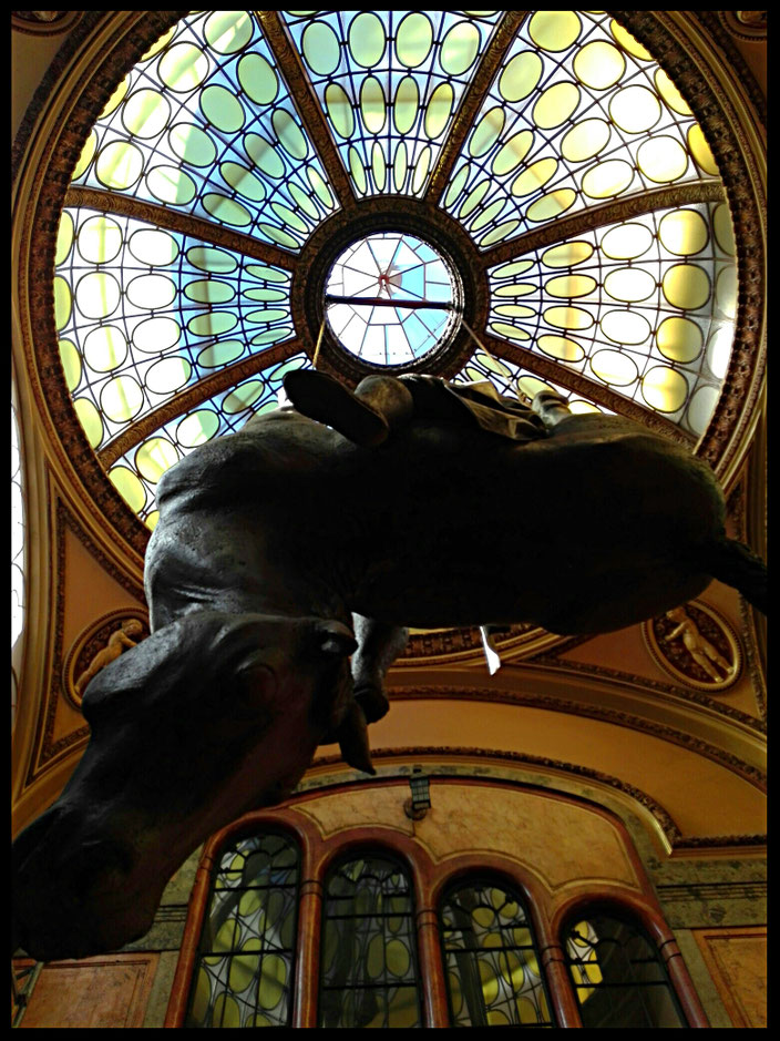 Prag