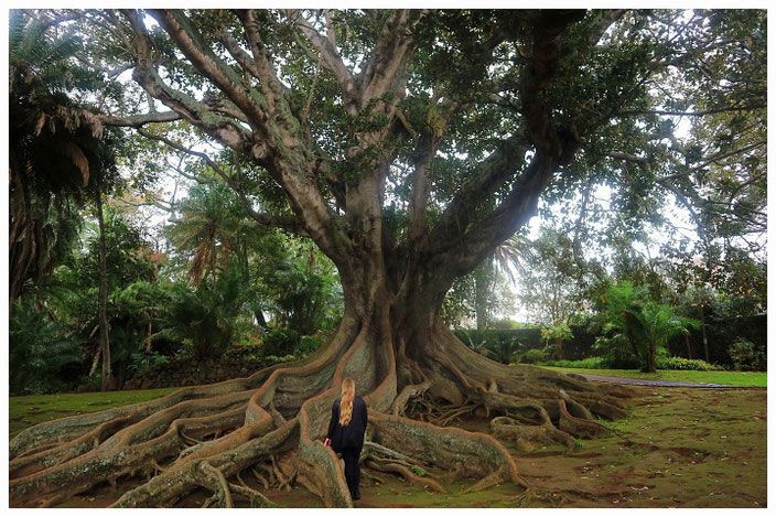 Ponta Delgada Park Sehenswürdigkeiten Azoren
