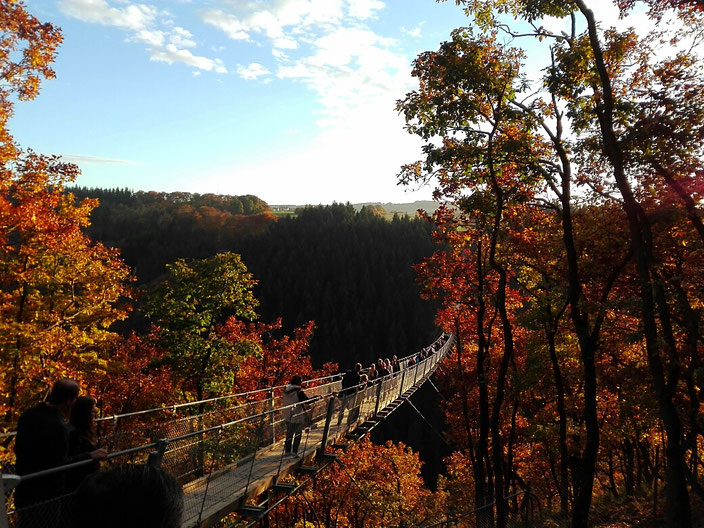 Hängebrücke Geierlay Mörsdorf im Herbst