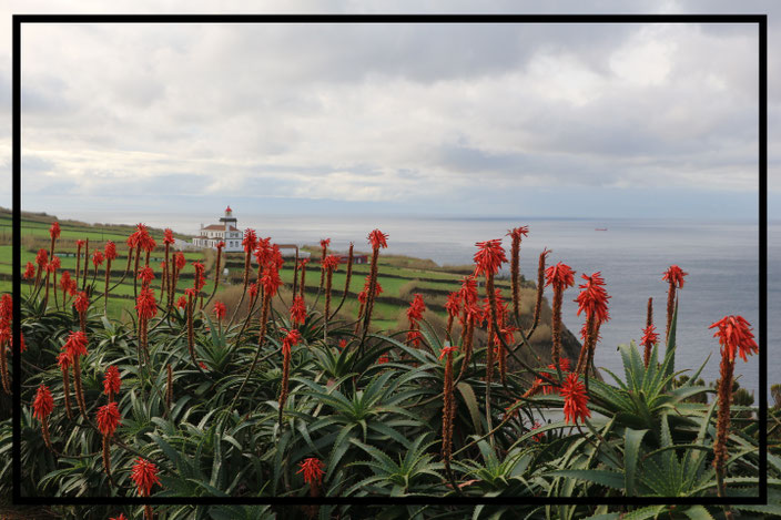 Blick auf den Leuchtturm von Ginetes - Sao Miguel, Azoren