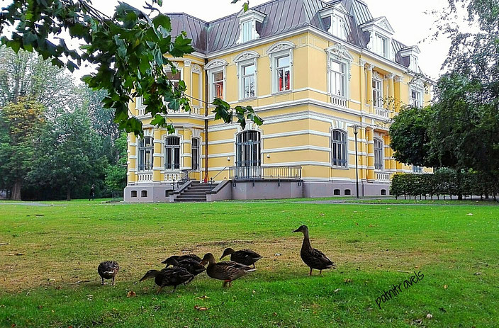 Villa Erckens - mitten im Stadtpark